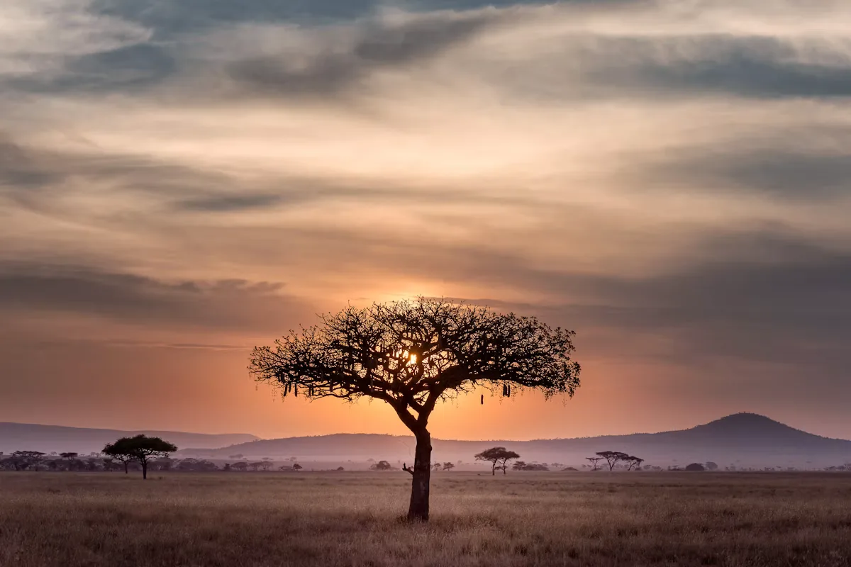 Facilitator vs Traditional Lineage Claims: How to Read the Pitch